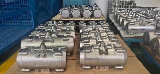 Chế độ điều khiển hoạt động đôi Offshore Quarter Turn Actuator Function