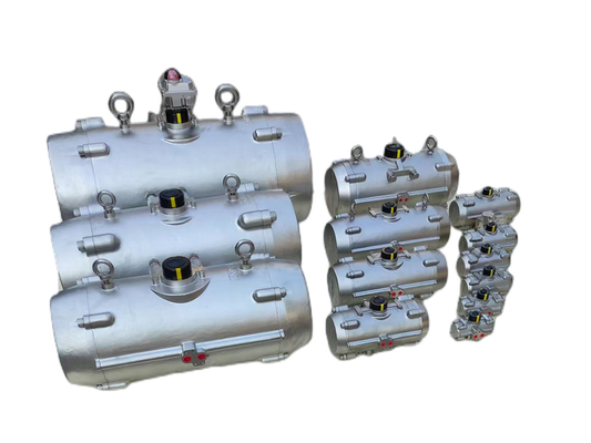 Chế độ điều khiển hoạt động đôi Offshore Quarter Turn Actuator Function